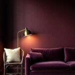 plum-noir-explained